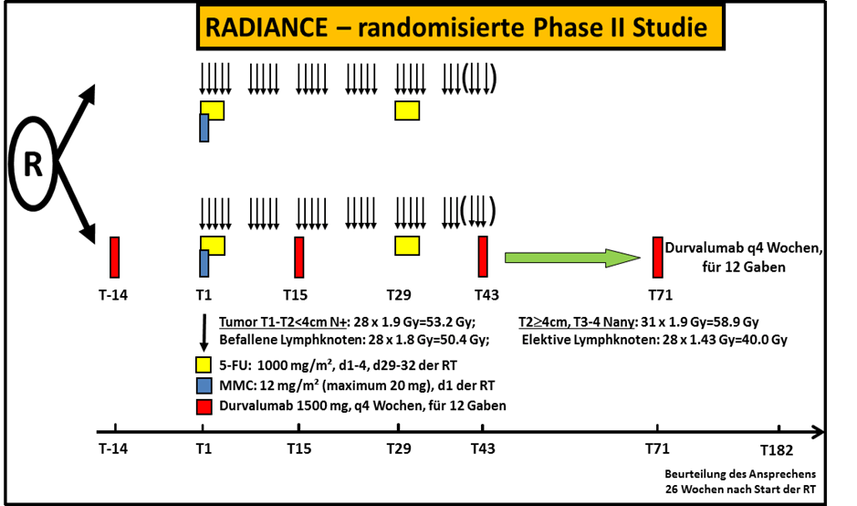 Studienablauf - randomisierte Phase II Studie